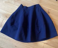 Navy blue circle skirt