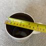 Collectible Starbucks Coffee Singapore Mug Image 6