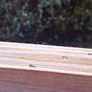 Hand Carved Wooden Pikemen Plaque and Matching Stand Image 10