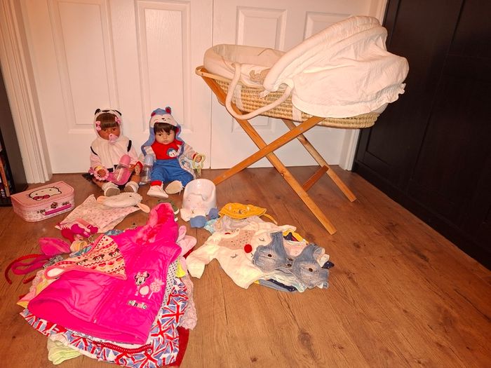 2 Reborn Baby Dolls+Moses basket+over 50 pieces of clothing and accessories, excellent condition