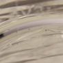 Cavan crystal tankard. No57. Image 4