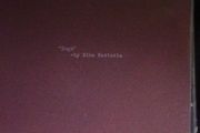 Nina Nastasia - Dogs CD (original release)