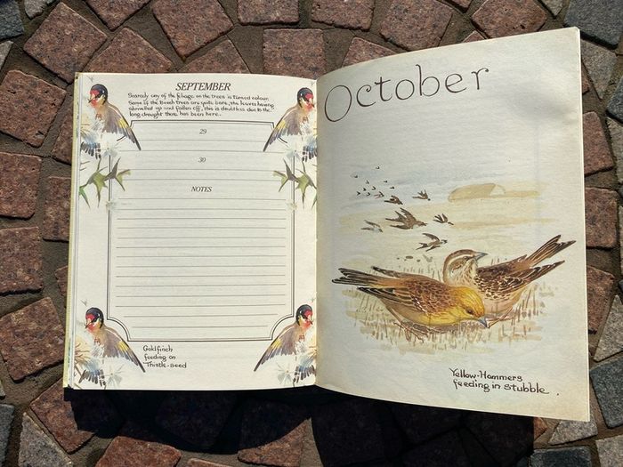 Country Diary Garden Notes