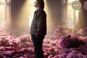 Lewis Capaldi (Marlay Park Concert 23rd June 4pm)