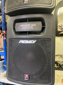 2 peavey speakers