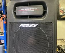2 peavey speakers