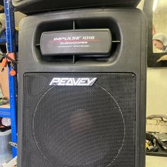 2 peavey speakers