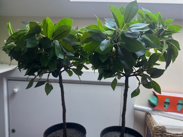 2x decoration tree