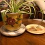 Lesser & Pavey "Leonardo Collection" Spring Roses Hand Painted Planter & Original Box Image 2