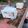 BRAND NEW 13 to 20 kva diesel generators Image 4