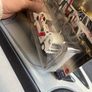Hot wheels Team Transport '73 Honda Civic Custom Aero Lift #80 Image 8