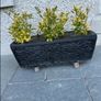 3 Planter Pots Concrete Image 6