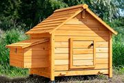 Coop House Chicken Coop, Large