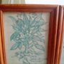 4 x vintage botanical frames Image 4