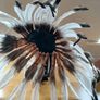 Stunning Native Indian Head Piece Image 5