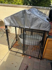 dog run