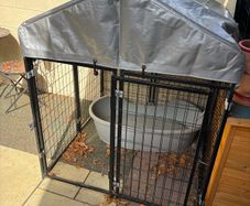 dog run