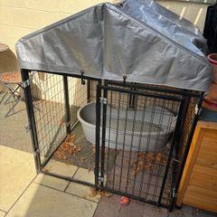 dog run