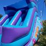 Bouncy Castle Image 2