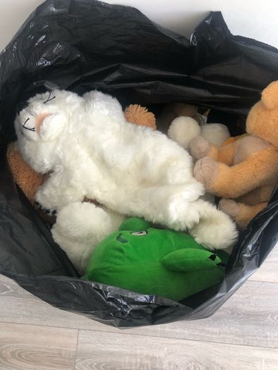 Teddy,soft toys