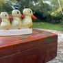 3 Ducks cocktail stick holder Image 2