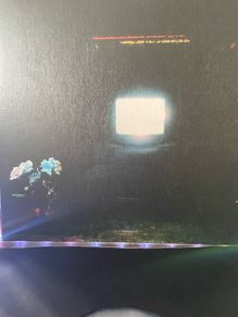 Emeralds - Does It Look Like I'm Here?
