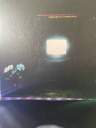 Emeralds - Does It Look Like I'm Here?