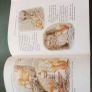 book the complete tales of beatrix potter Image 4