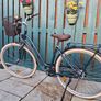 ELOPS Low Frame City Bike Elops 540 Image 2
