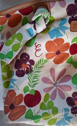 Longchamp bag