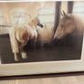 Print - silent Rapport by Mike Burr Image 3