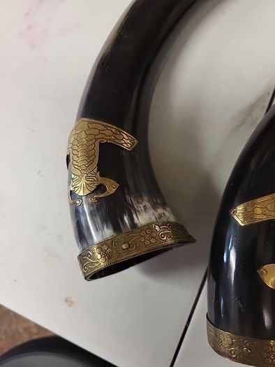 Buffalo horns