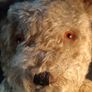 25" 1930's Fully Articulated Mohair Teddy Bear Image 3