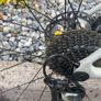 Giant TCR 1 Image 2