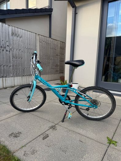 B Twin bike