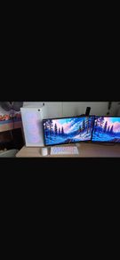 Gaming monitors