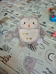 Ollie Owl