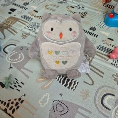 Ollie Owl