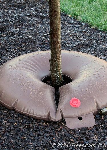 Tree Watering Bag / Brand New