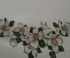 Grindley 'Dogwood" - 1950s Oval Plate