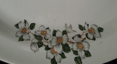 Grindley 'Dogwood" - 1950s Oval Plate