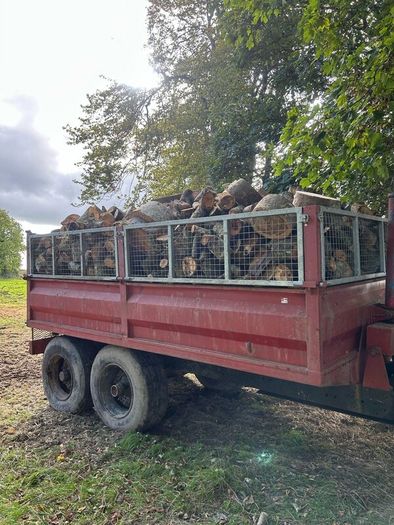 Firewood