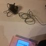 Nintendo ds Image 2