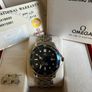 Omega Seamaster Image 2