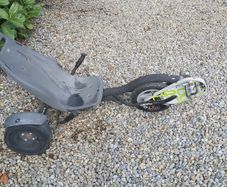 Pro 100 rocker fire trike go kart