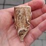 Vintage skull and bones clay pipe bowl Image 4