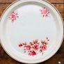 arklow plates Image 4
