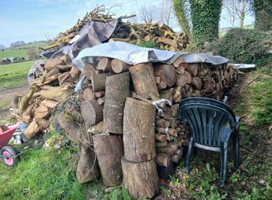 large amount logs &firewood