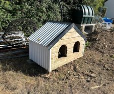 Dog House