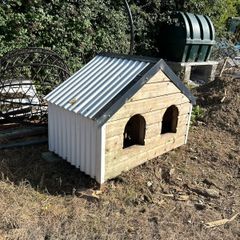 Dog House
